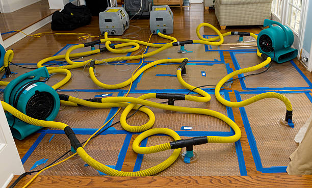 Professional Water Damage Repair technician working in Harrisville, RI